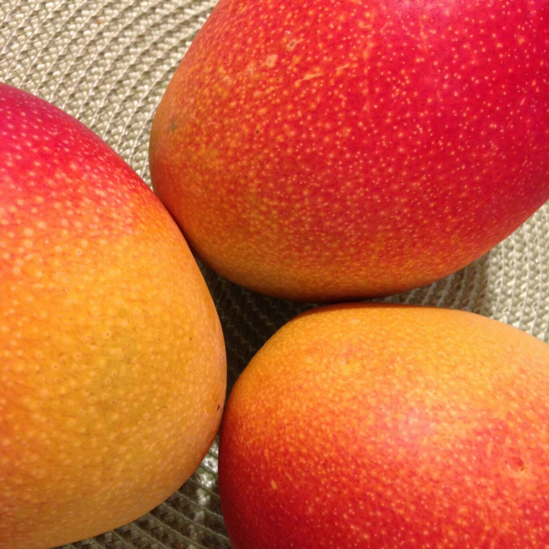 pexels-rcwired-918643