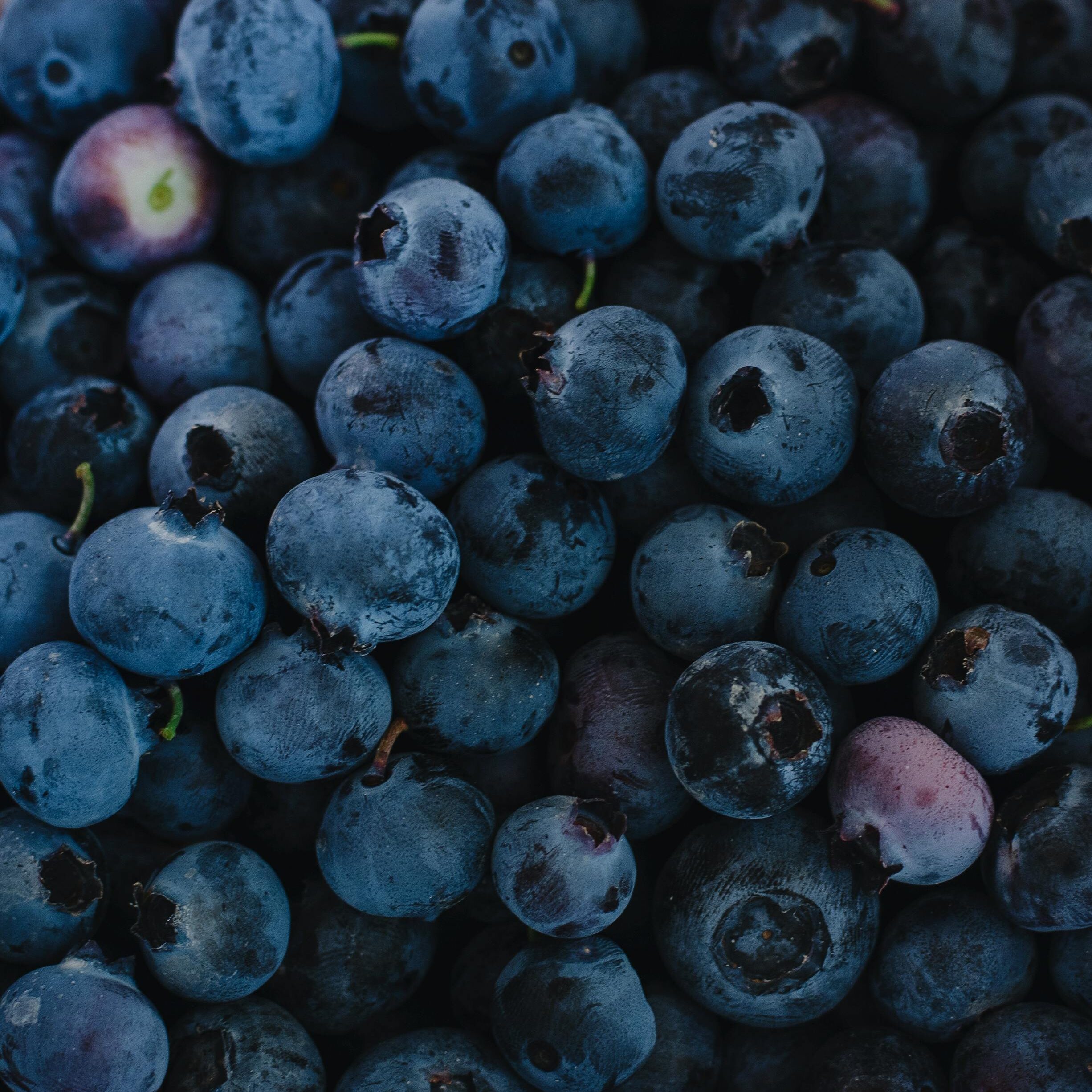 pexels-adrienne-andersen-1174503-2254063